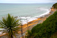 New Zealand ~ South Island ~ Oamaru & Waikouaiti Beach