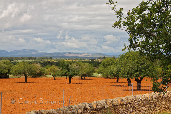 Mallorca countryside